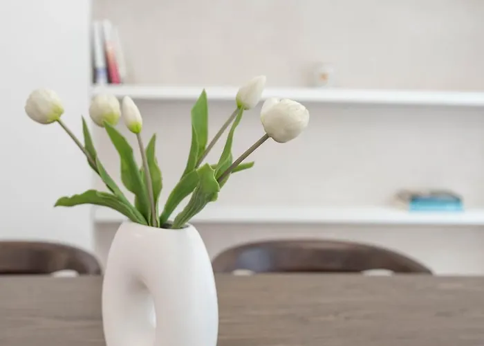 Stella Jelenia Góra